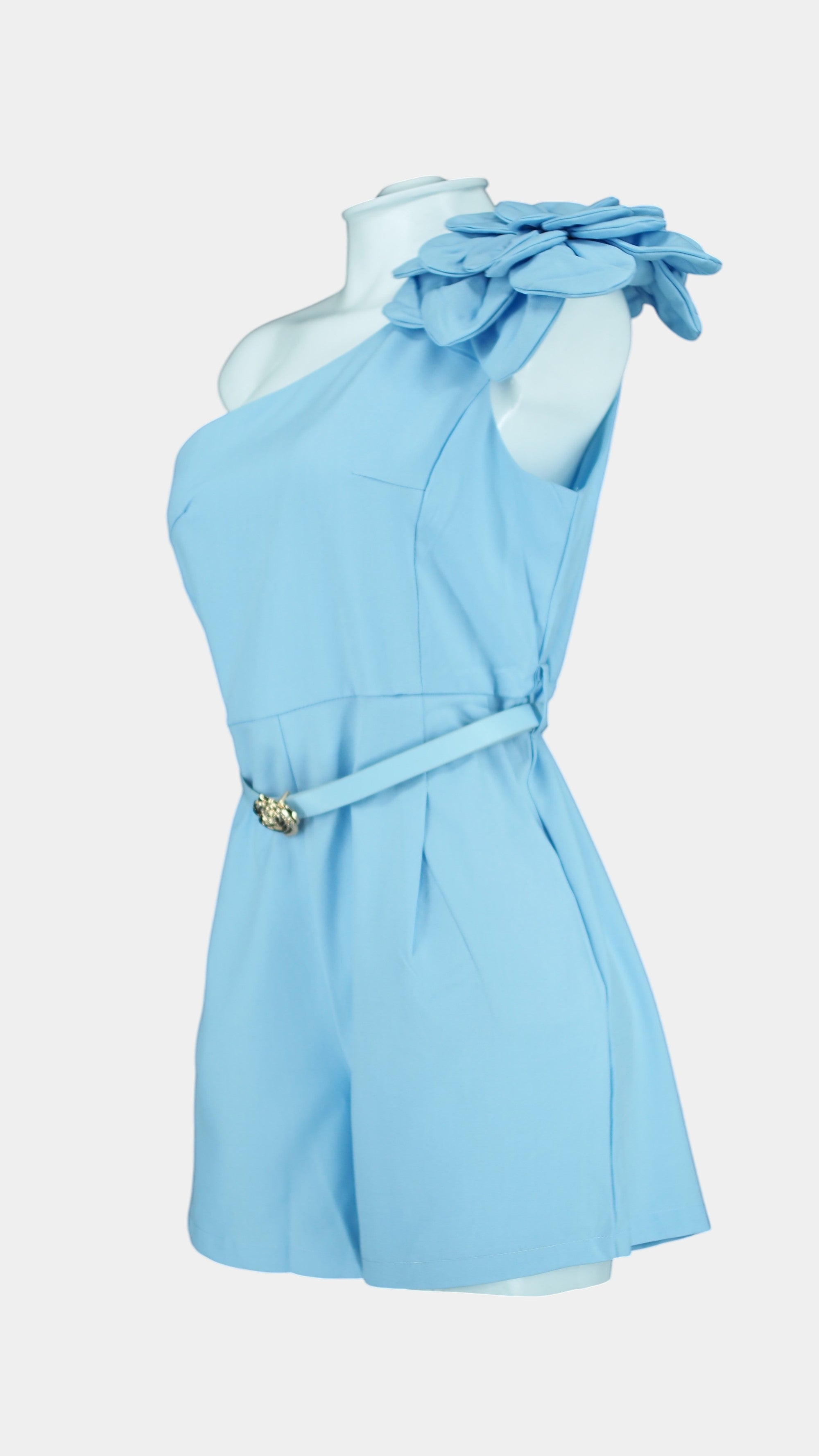 #color_AZUL